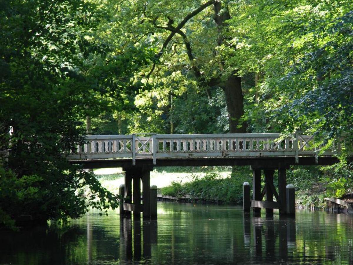 a bridge over a body of water surrounded by trees