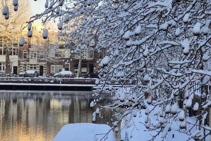 Snow-covered trees and boats along a calm river.