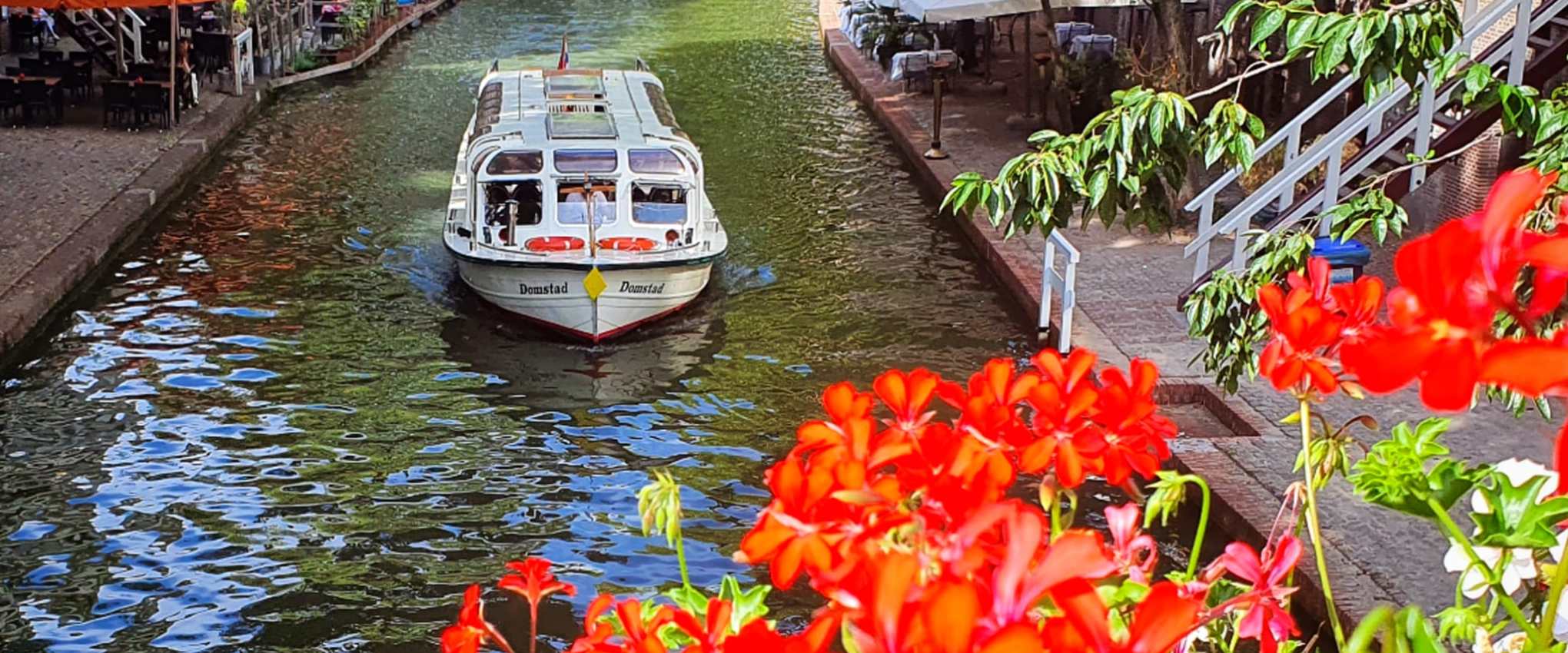 a river filled with lots of colorful flowers