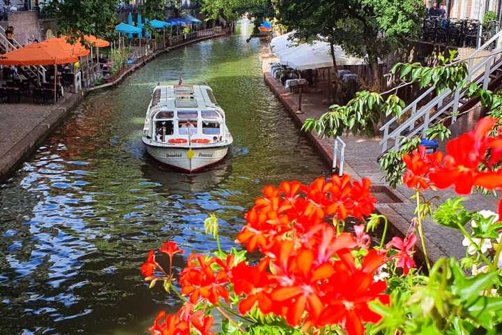 a river filled with lots of colorful flowers