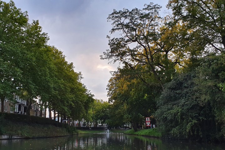 a small house in a tree