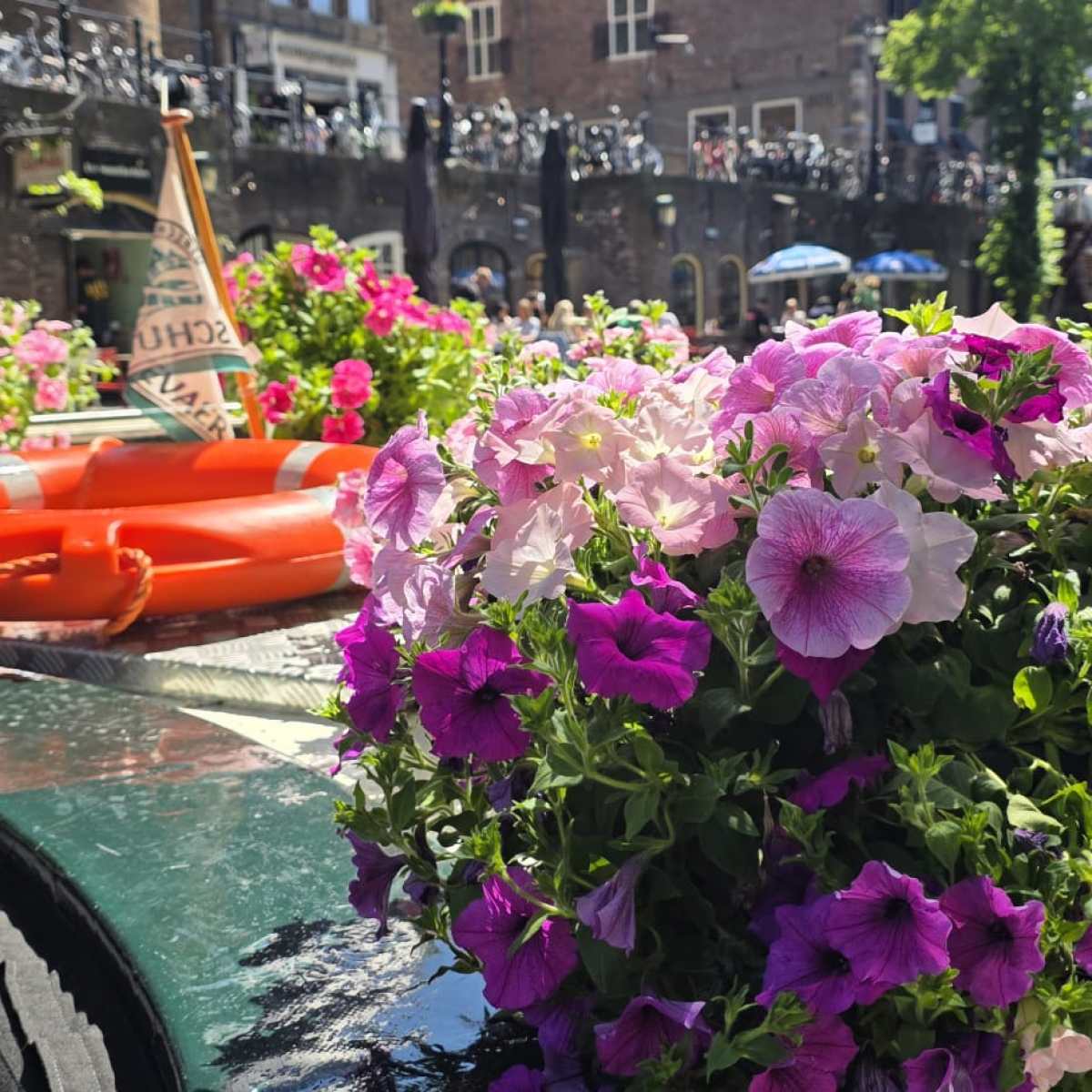 Colorful flowers and orange lifebuoy on a canal boat with a scenic city backdrop.