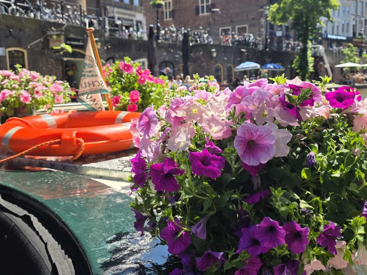 Colorful flowers and orange lifebuoy on a canal boat with a scenic city backdrop.