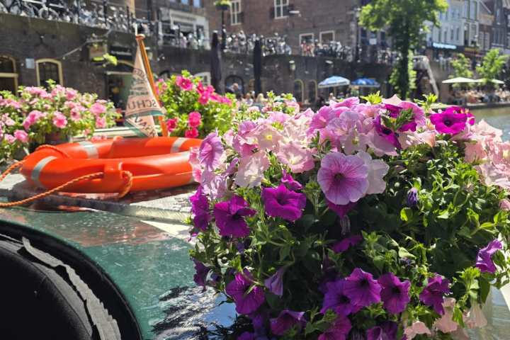 Colorful flowers and orange lifebuoy on a canal boat with a scenic city backdrop.