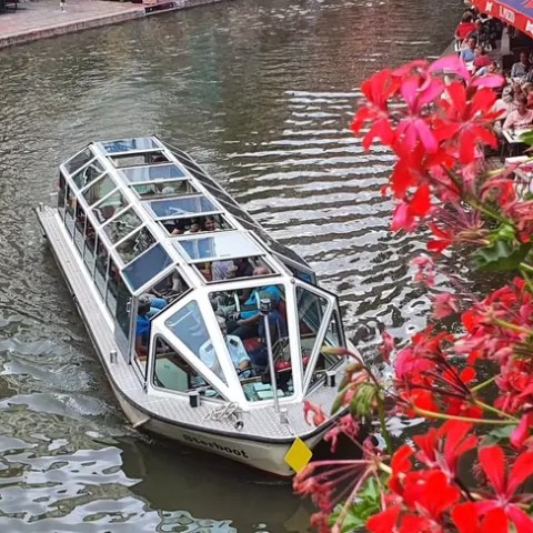 Glass-roofed canal boat passing by red flowers on a river.