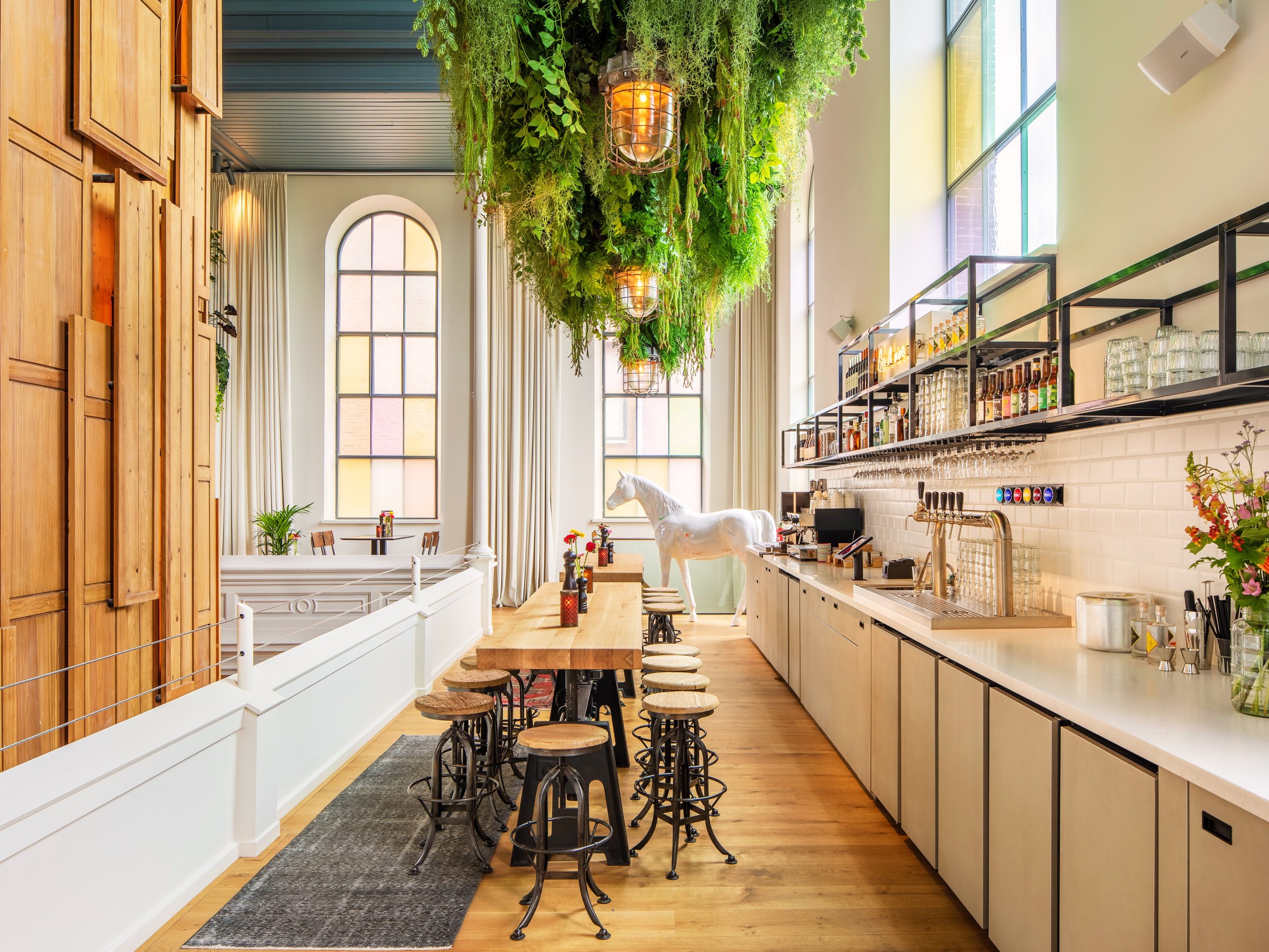 Bright cafe interior with high ceilings, hanging plants, wooden decor, and a long counter.