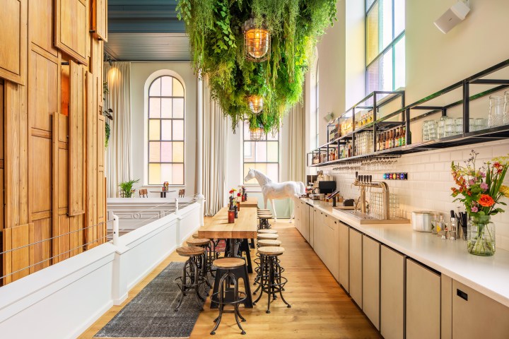 Bright cafe interior with high ceilings, hanging plants, wooden decor, and a long counter.