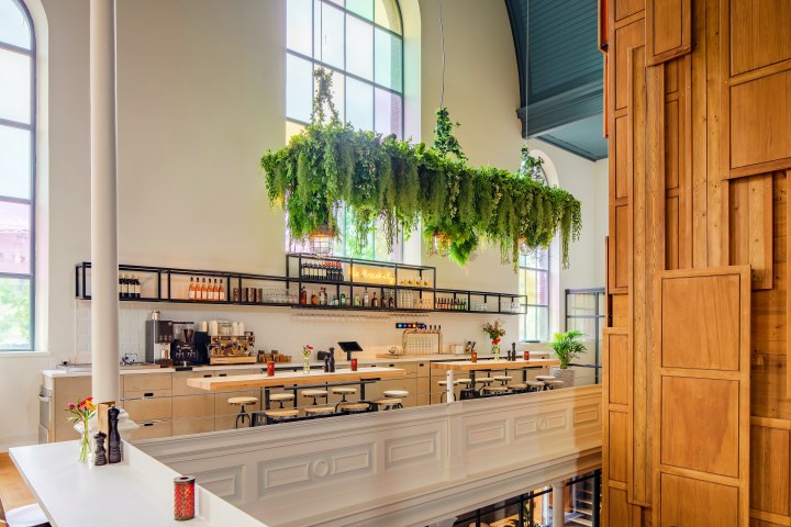 Modern cafe interior with hanging plants and wooden decor.